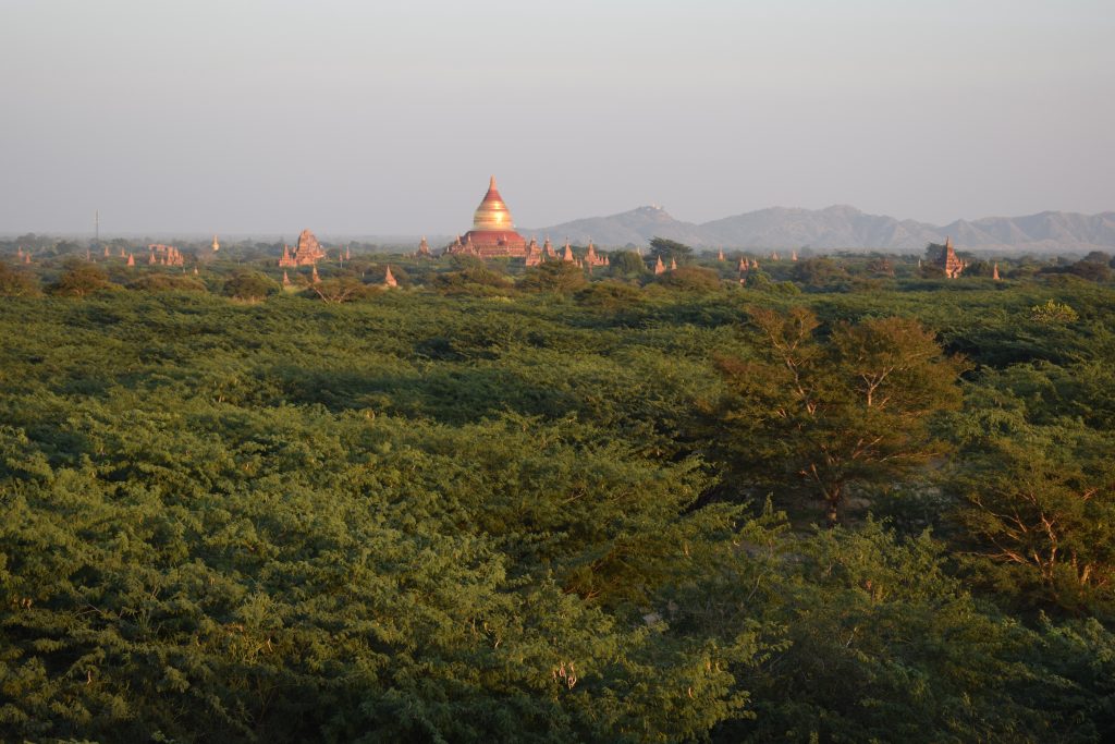 Dhammayazika Paya Bagan